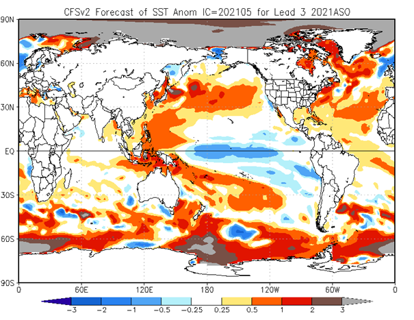 Figure 1: Forecast SST anomaly for ASO 2021