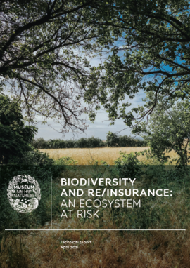Biodiversity and Re/insurance: An Ecosystem at Risk