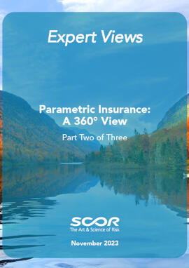 Parametric Insurance: A 360° View